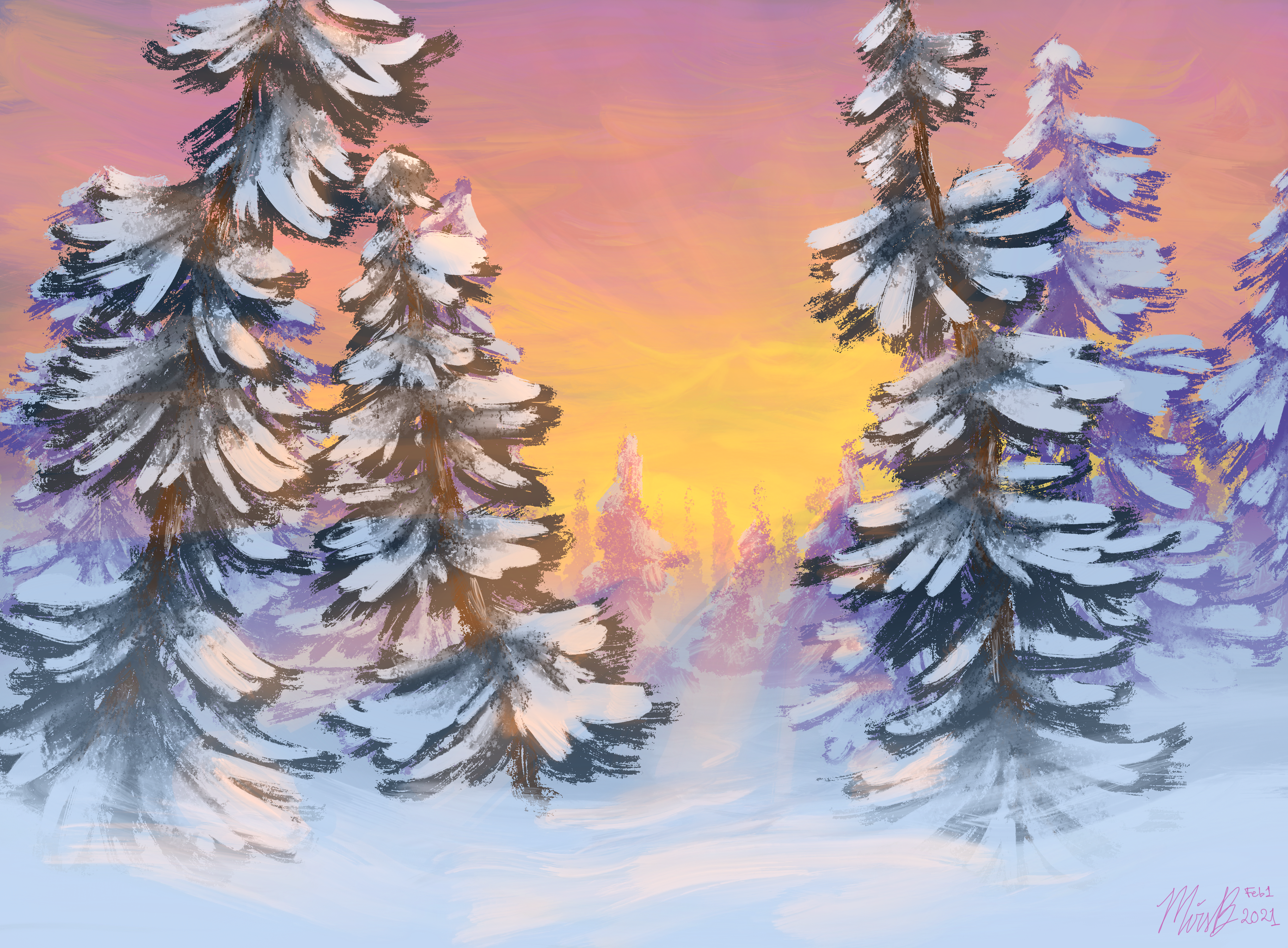 Sunrise from within a snowy evergreen forest.